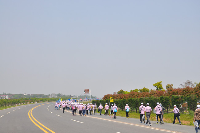 GA黄金甲(中国)最新官方网站