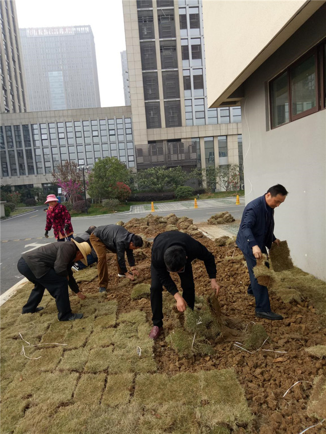 GA黄金甲(中国)最新官方网站