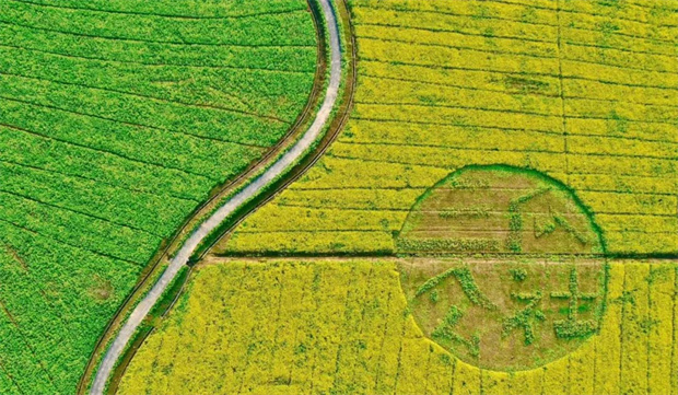 GA黄金甲(中国)最新官方网站