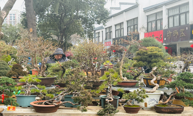 GA黄金甲(中国)最新官方网站