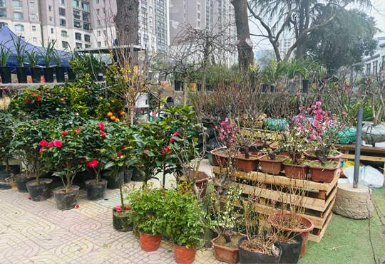 GA黄金甲(中国)最新官方网站