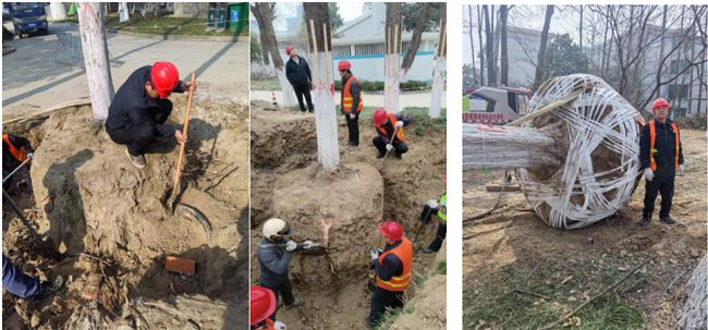 GA黄金甲(中国)最新官方网站